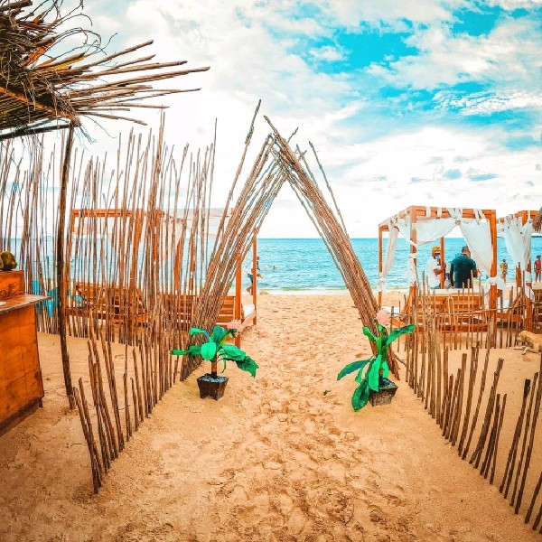 MAMBO BEACH + AVIARIO