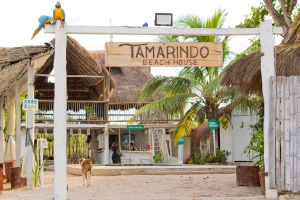 TAMARINDO BEACH CLUB