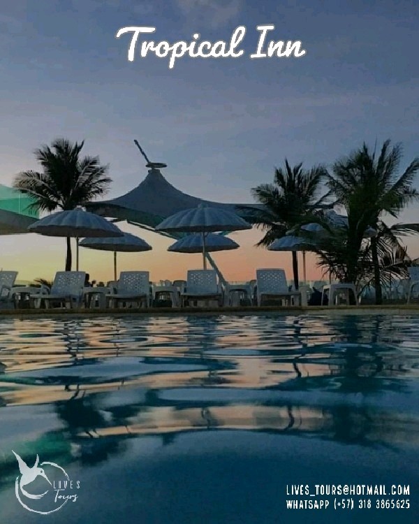 TROPICAL INN
