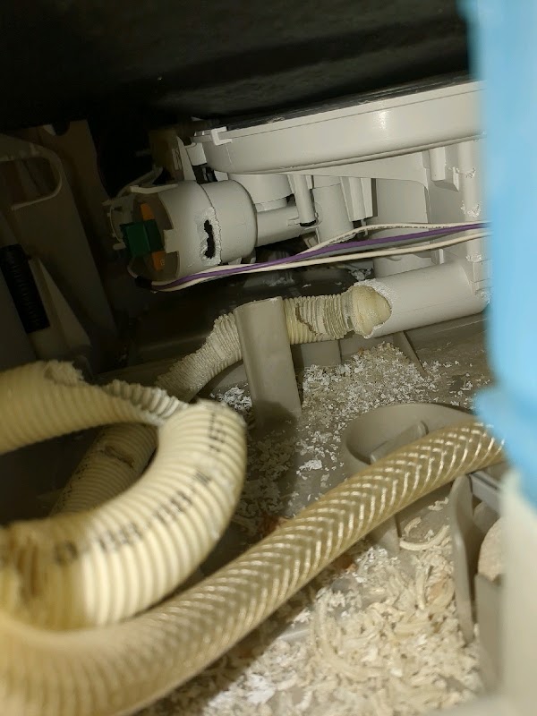 ab7f7a9d.image of issue.163413