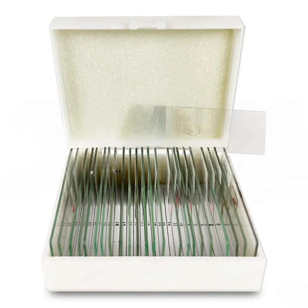 Lamina Preparada Ps03 Nivel Universitario - CHINA | Stock: 30 - SAP: 204020348