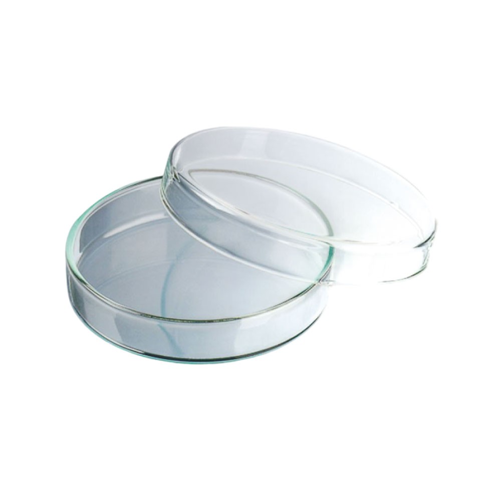 Placa Petri de Vidrio 150X25MM  Sin Divisiones X Unidad - NORMAX | Stock: 100 - SAP: 214020041