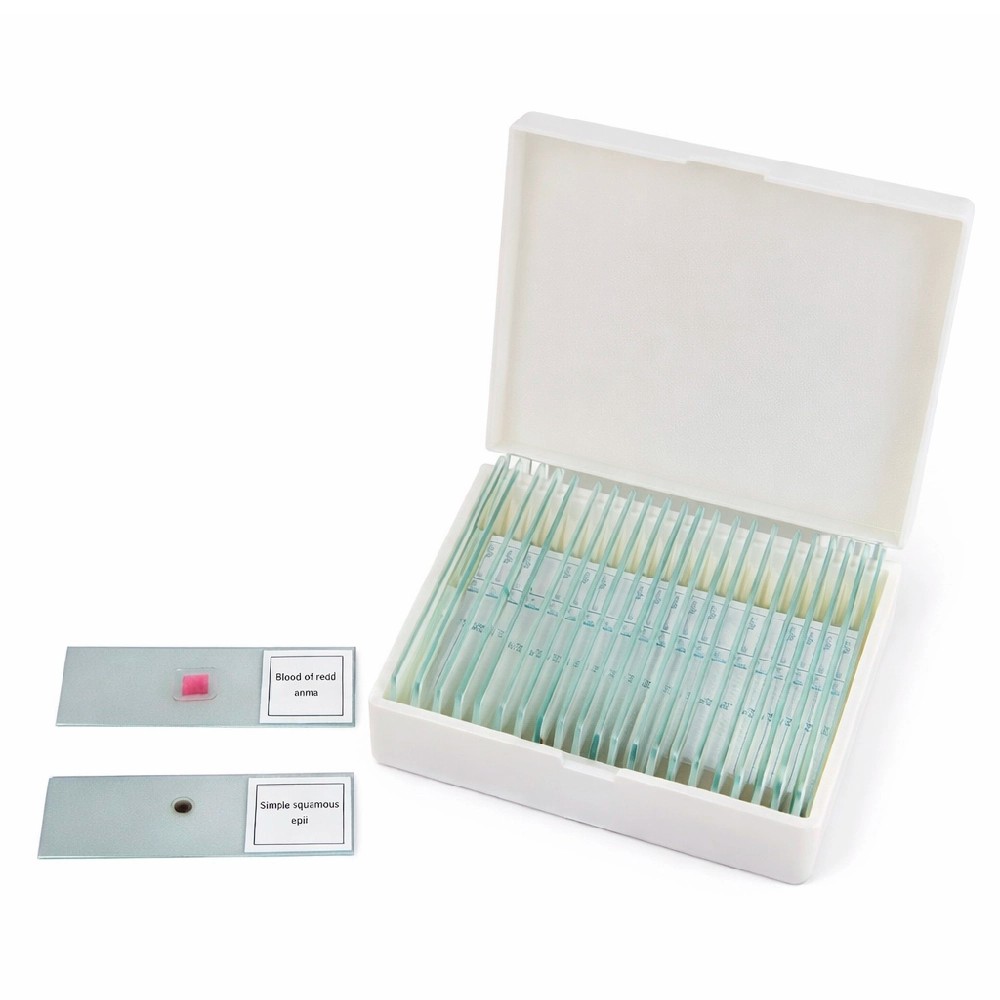 Laminas Coloreadas Nivel Intermedio x 25 Laminas Diferentes - KYNTEL | Stock: 10 - SAP: 197030009