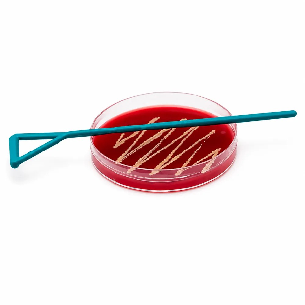 Asa Espatula Drigalski de Plastico en forma Triangulo Esteril Cja x 100 Unds Cod.082.03.001 - ISOLAB | Stock: 10 - SAP: 022030029