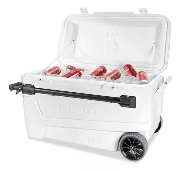 Cooler Maxcold with Wheels - TED1265