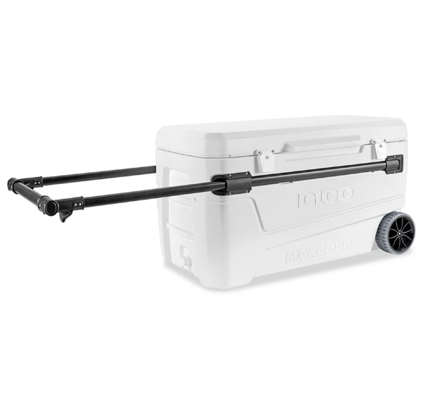 Cooler Maxcold with Wheels - TED1265