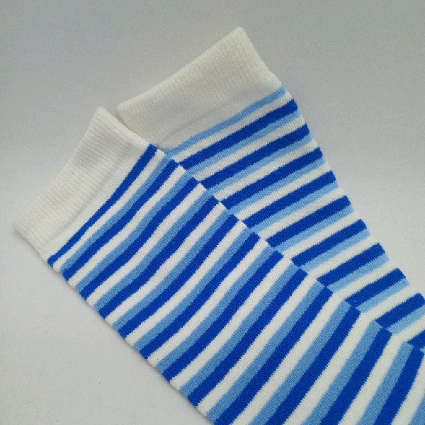 Knee High - Thin Stripe - White, Powder Blue & Royal Blue