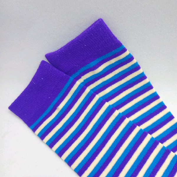 Knee High - Thin Stripe - White, Purple & Blue