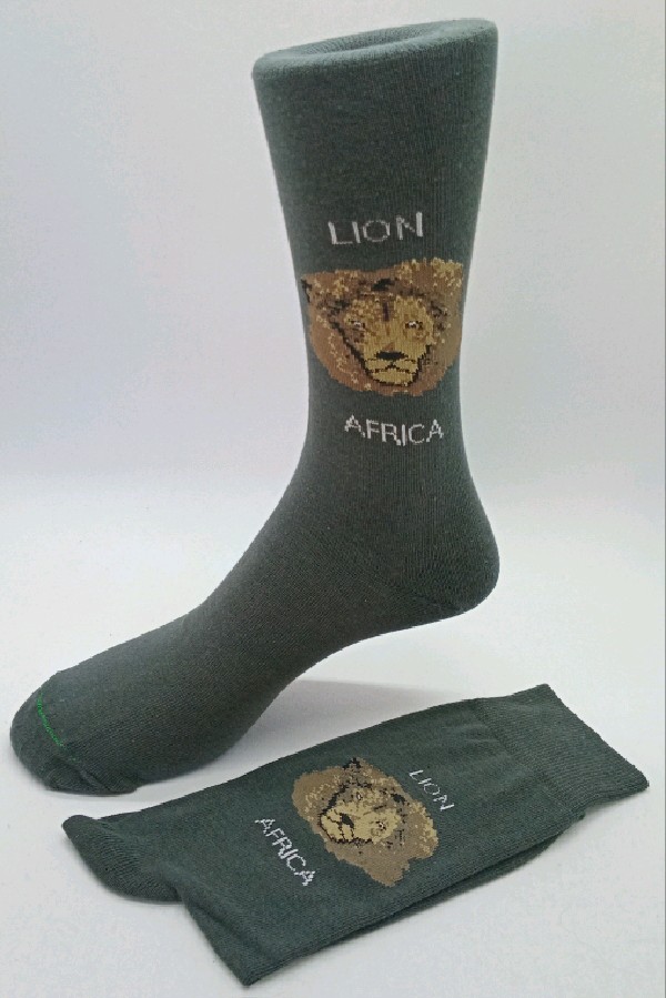 Big Five - Lion