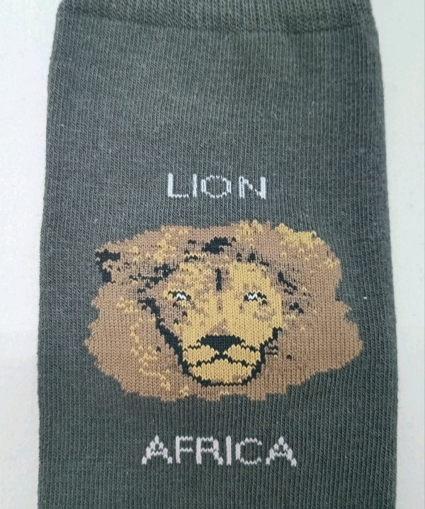 Big Five - Lion