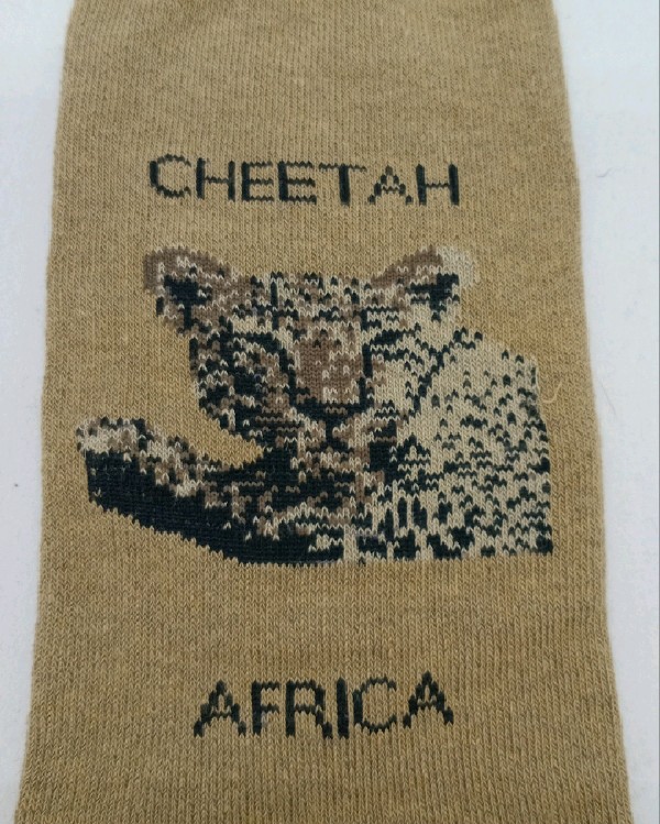 Big Five - Cheetah
