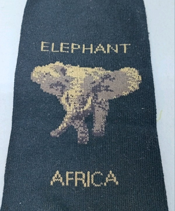 Big Five - Elephant