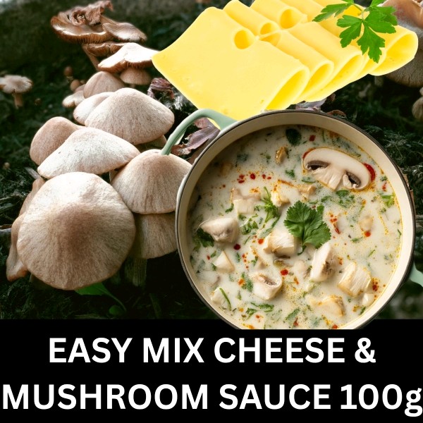 Easy Mix Cheese & Mushroom Sause 100g