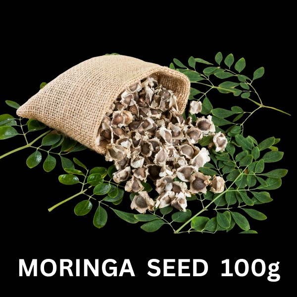 Moringa Seed 100g