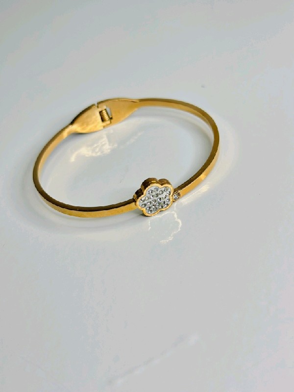 P113-Bangles