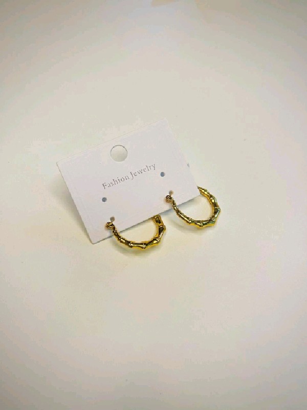 P236-Earrings