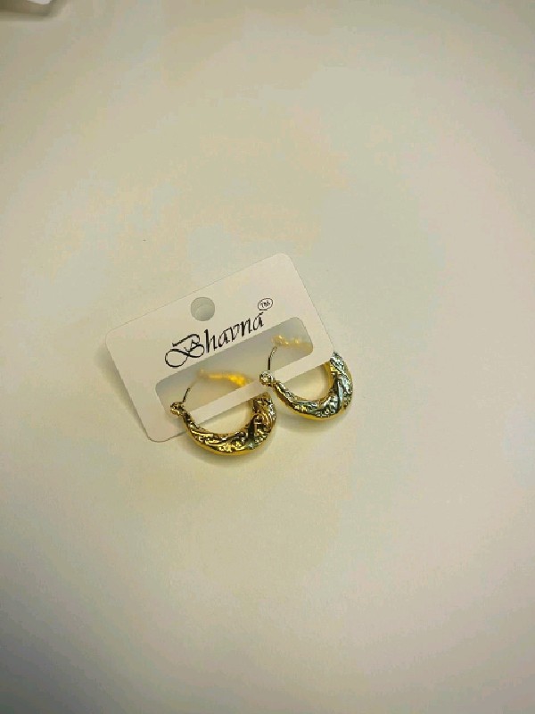 P246-Earrings