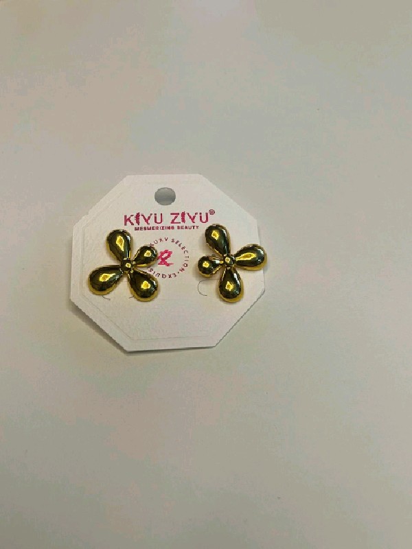 P252-Earrings