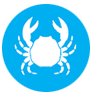 Crustaceos