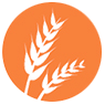 Gluten