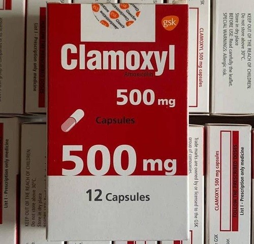 [gsk]-CLAMOXYL 500mg/12cap