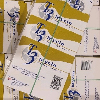 [hoe]-T3 Mycin Gel 1% 25g