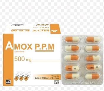 [ppm]-AMOX P.P.M 500/10x10cap