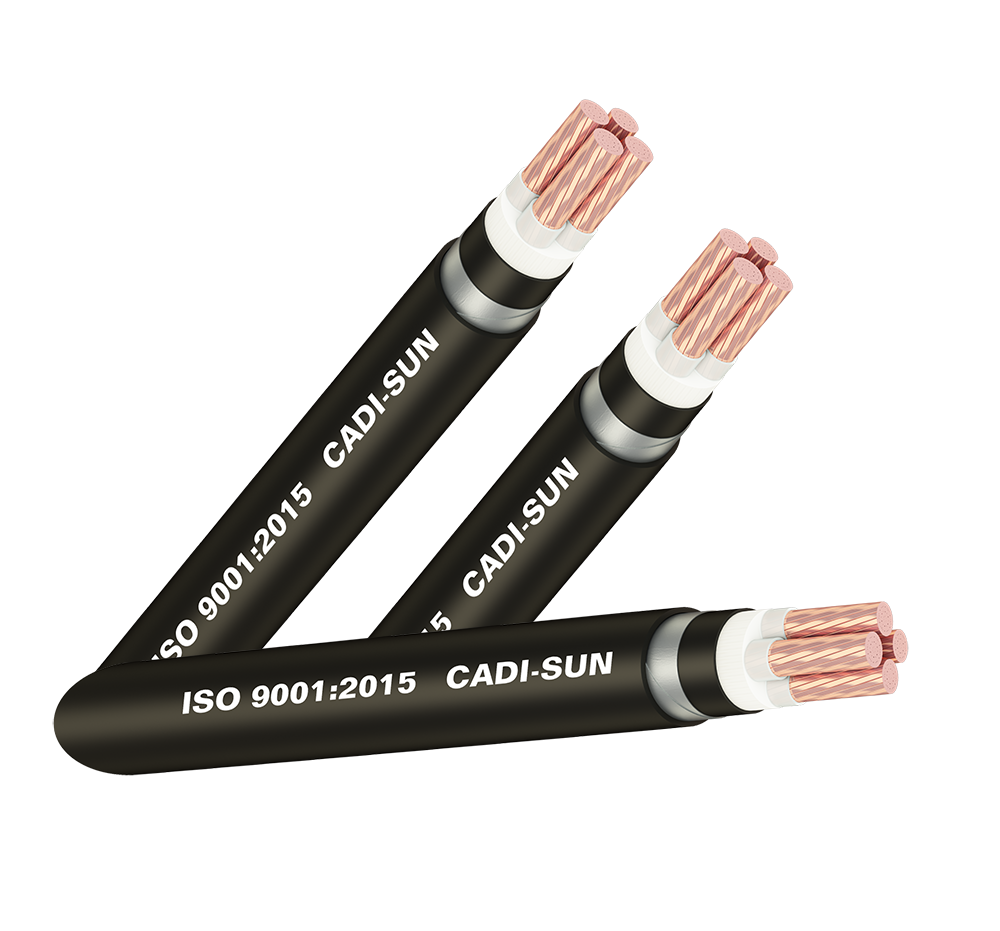 Cáp ngầm DSTA 4x